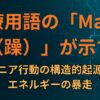 医療用語の「Mania（躁）」が示す、マニア行動の構造的起源とエネルギーの暴走
